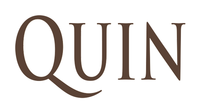 Quin Logo